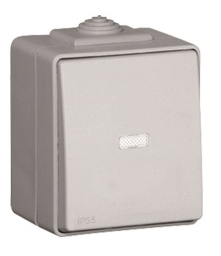 Pulsador luminoso 250V en color gris IP65