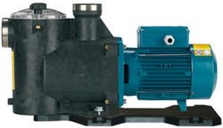 Bomba autoaspirante para piscina 0,75 HP 230V