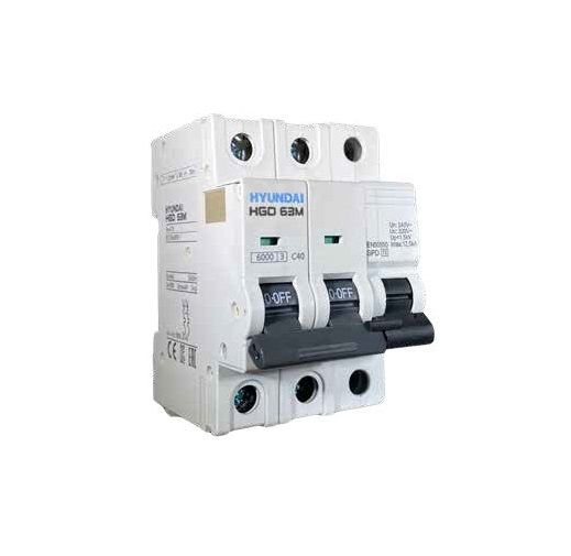 Iga + sobretensión transitoria y permanente 2P 25A