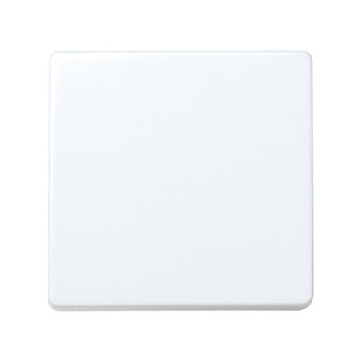 Interruptor unipolar 10 AX 250V~  embornamiento rápido, en color blanco Simon 27