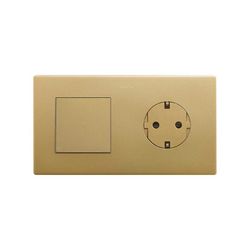 Marco compuesto por 1 elemento y 1 estética mínima para base enchufe schuko CLEAN oro