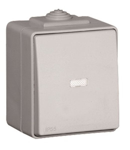 Pulsador luminoso 250V en color gris IP65