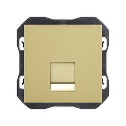 Tapa de voz y datos plana con guardapolvo con 1 conector RJ45 bronce