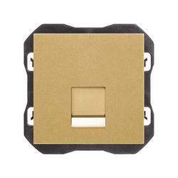 Tapa de voz y datos plana con guardapolvo con 1 conector RJ45 oro