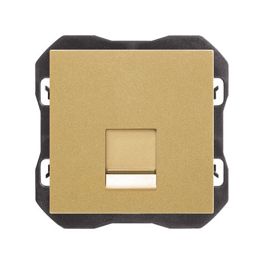 Tapa de voz y datos plana con guardapolvo con 1 conector RJ45 oro