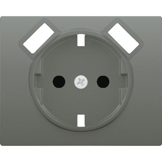 Tapa enchufe seguridad 2P+TT lateral con 2 tomas USB acero neptuno