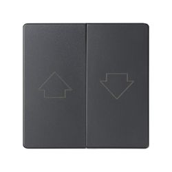 Tecla doble para mecanismo de persianas con enclavamiento de seguridad en color grafito Simon 82