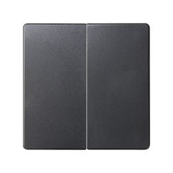 Tecla doble para mecanismos de mando en color grafito Simon 82