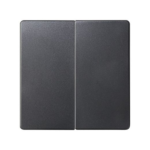 Tecla doble para mecanismos de mando en color grafito Simon 82